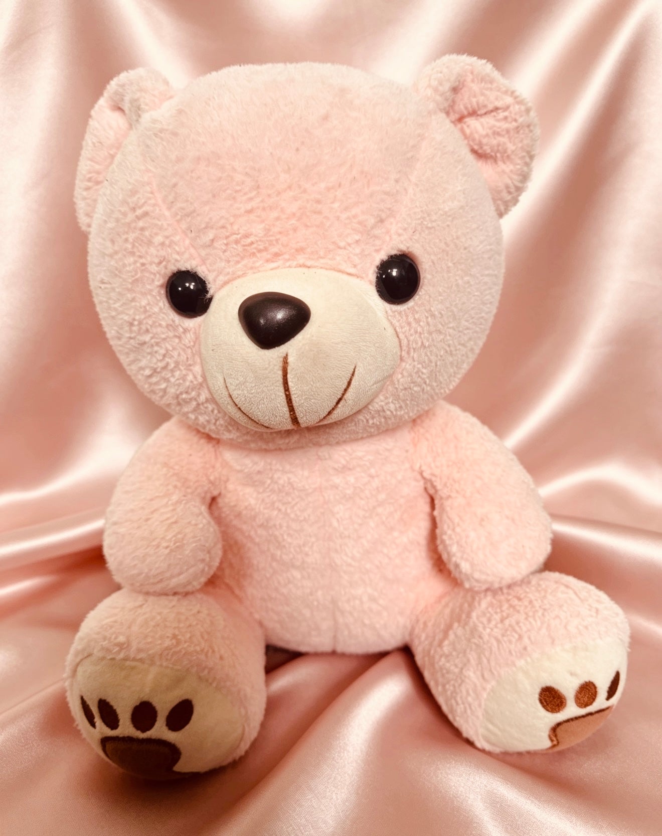 Pink Teddy Bear Plush