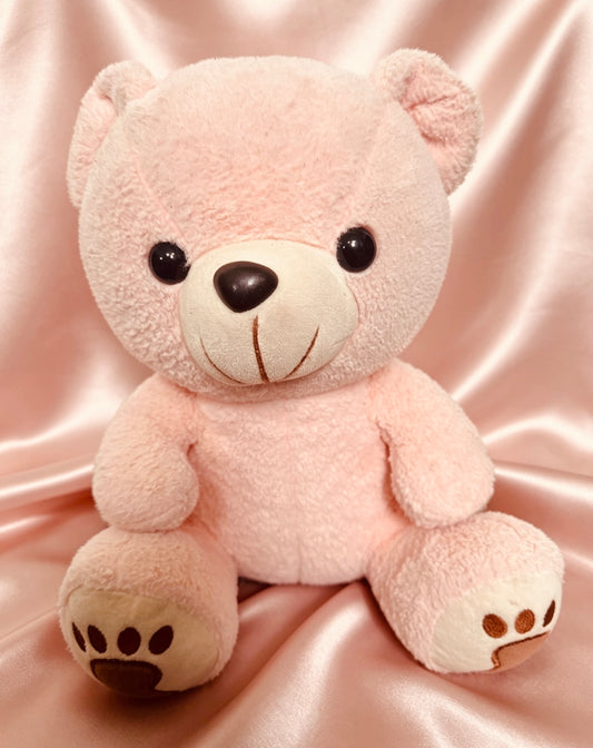Pink Teddy Bear Plush